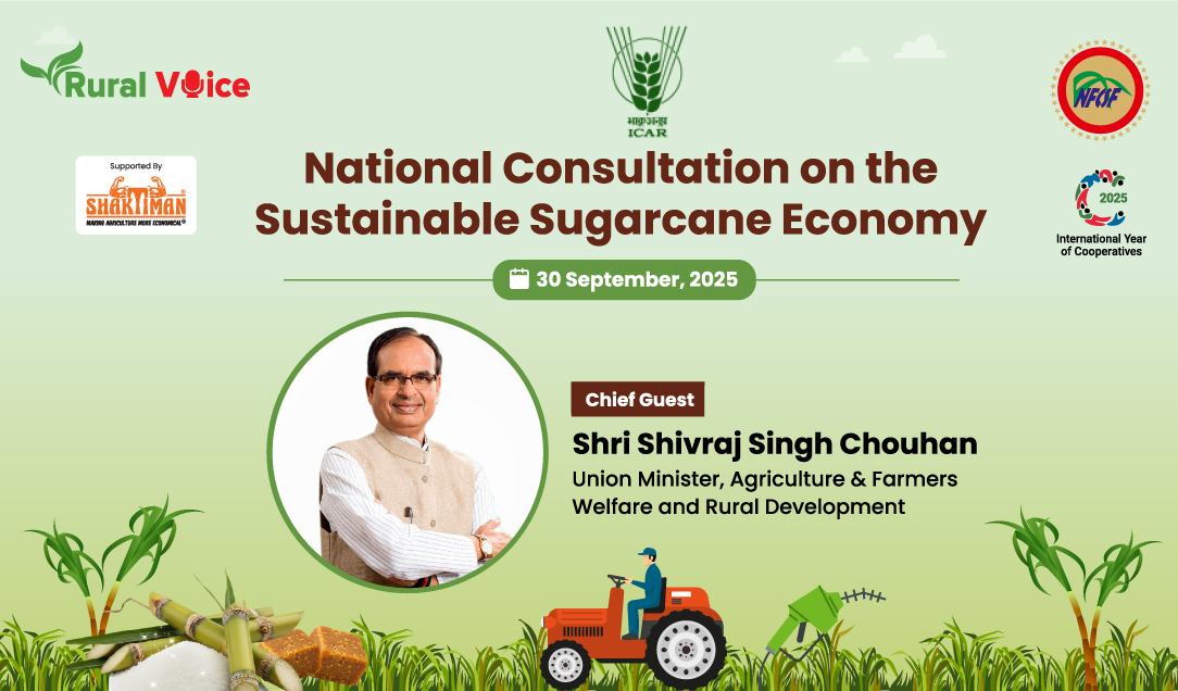 National Consultation on the Sustainable Sugarcane Economy